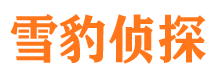 青神侦探公司